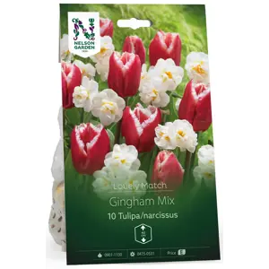 Høstløk tulipan bukettnarsiss Gingham Mix