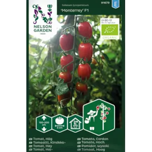 Frø tomat høy Monterrey økologisk