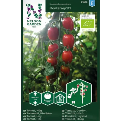 Frø tomat høy Monterrey økologisk