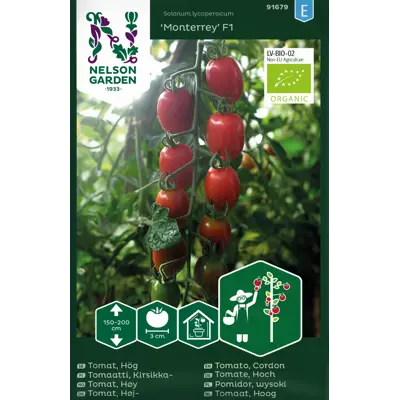Frø tomat høy Monterrey økologisk