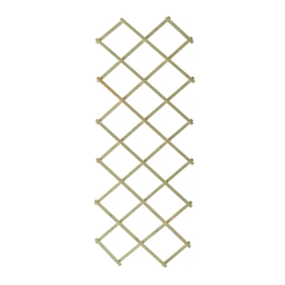 Espalier tre grønn 50x140 cm