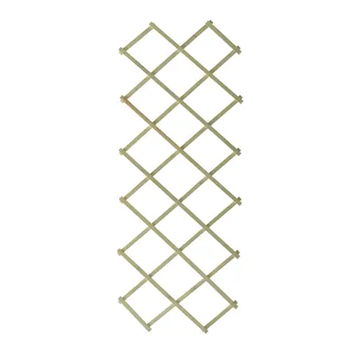 Espalier tre grønn 50x140 cm