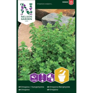 Frø oregano/bergmynte