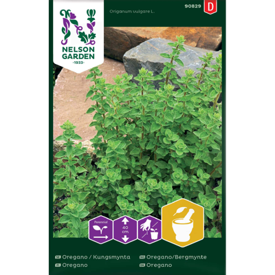 Frø oregano/bergmynte