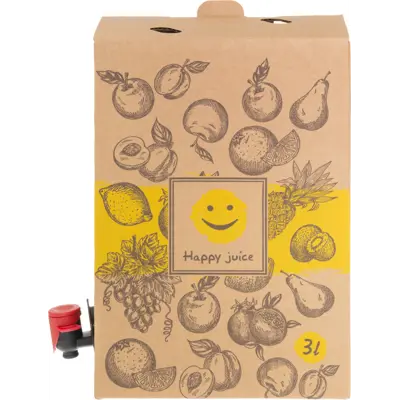 Bag in box pose med kran og kartongboks 4 stk 3 L, bilde 2