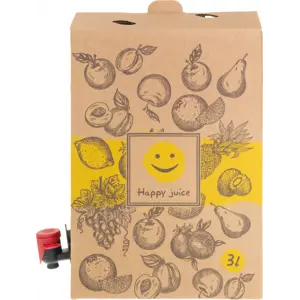 Kartongboks med 4 stk Bag In Box-poser â 3 L