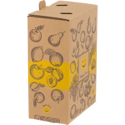 Bag in box pose med kran og kartongboks 4 stk 3 L, bilde 3