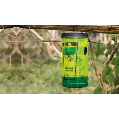 Vepsefelle med lokkemiddel, bilde 4