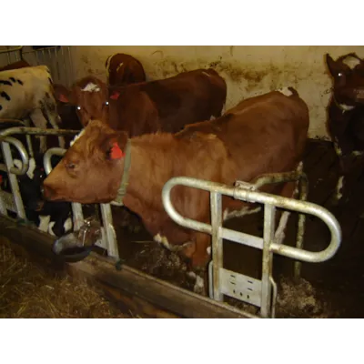 DeLaval TUF10 Kortbåsinnredning, bilde 3