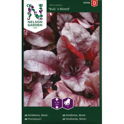 Frø bladrødbete Bull´s Blood