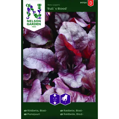 Frø bladrødbete Bull´s Blood