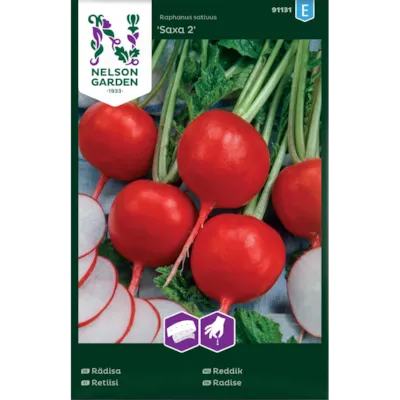 Frø reddik Saxa 2 såbånd