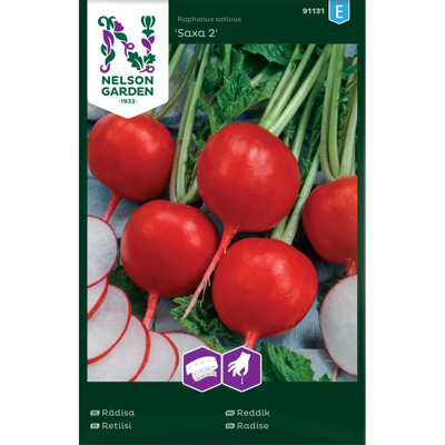 Frø reddik Saxa 2 såbånd