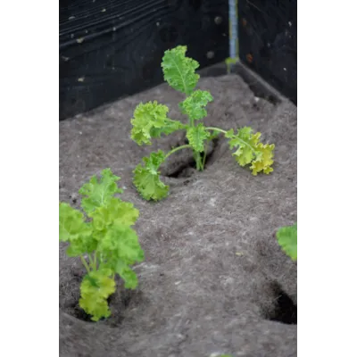 Dyrkningsduk ull 150 x 200 cm, bilde 3