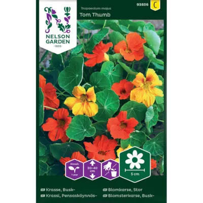 Frø blomkarse Tom Thumb