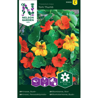 Frø blomkarse Tom Thumb