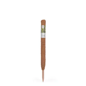 Plantestøtte i tre/kokos 70 cm