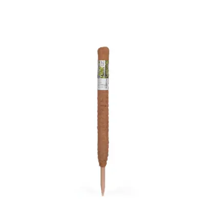 Plantestøtte i tre/kokos 70 cm