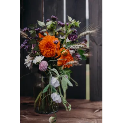 Frø kjempeverbena, bilde 5