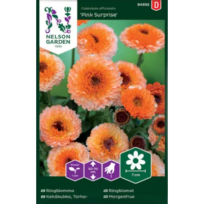 Frø ringblomst Pink Surprise