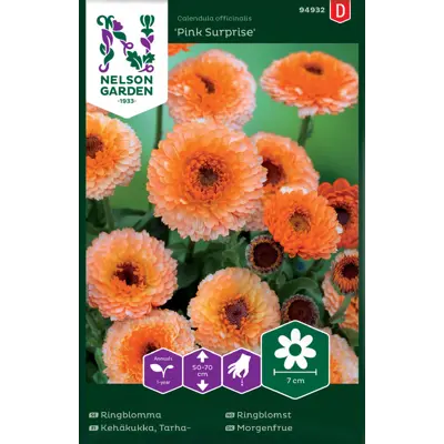 Frø ringblomst Pink Surprise