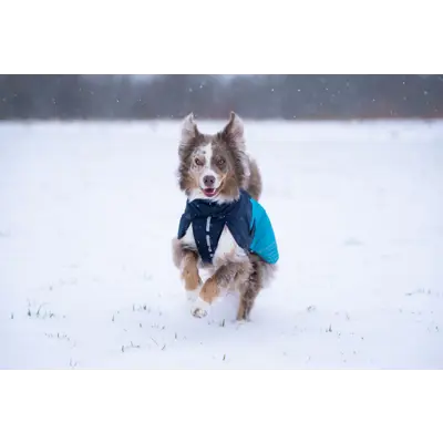 Hundedekken Glacier mørkblå, bilde 2