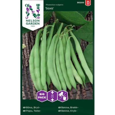 Frø brekkbønne Saxa Big Pack