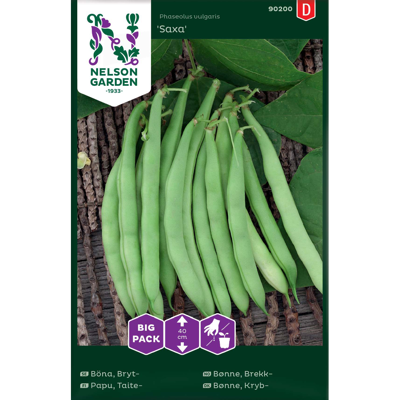 Frø brekkbønne Saxa Big Pack