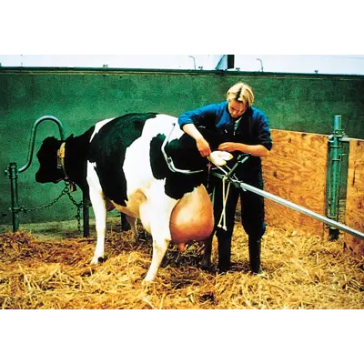 Kalveuttrekker 160 cm Vink rustfri, bilde 2