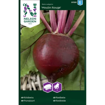 Frø rødbete Moulin Rouge såbånd