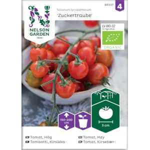 Frø tomat høy Zuckertraube økologisk