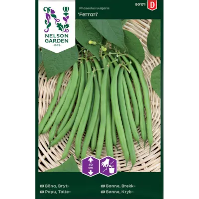 Frø brekkbønne Ferrari