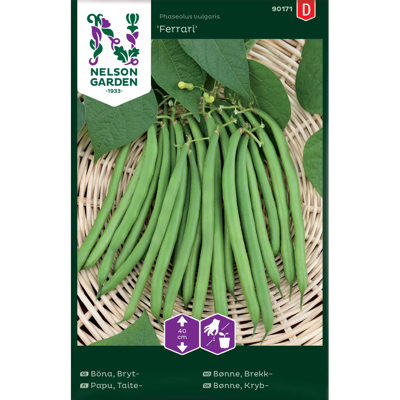 Frø brekkbønne Ferrari