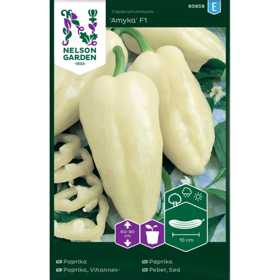 Frø paprika Amyka