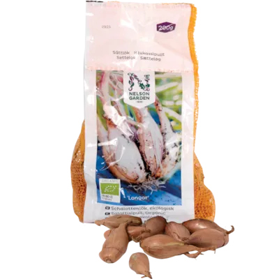 Setteløk sjalottløk Longor økologisk 200 g