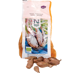 Setteløk sjalottløk Longor økologisk 200 g