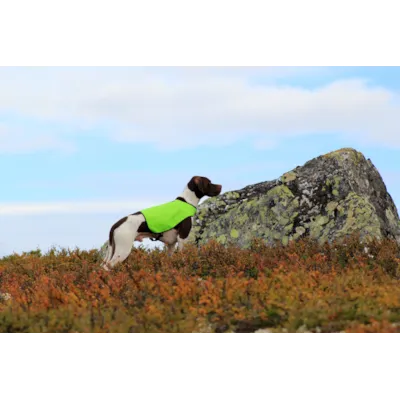 Markeringsdekken Duo grønn, bilde 4