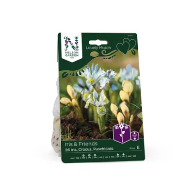 Høstløk Iris & Friends