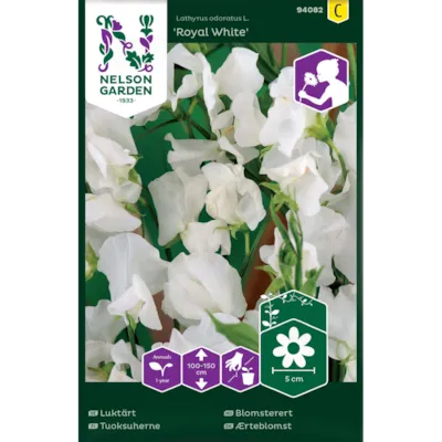 Frø blomsterert Royal White