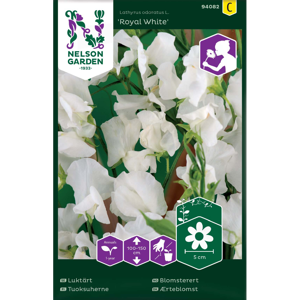 Frø blomsterert Royal White