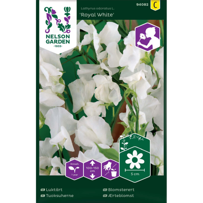 Frø blomsterert Royal White