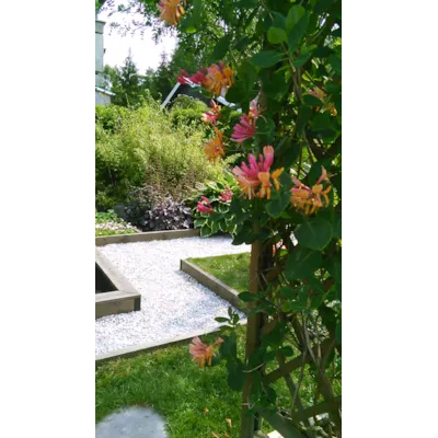 Dekorstein marmor hvit kantet 10 kg, bilde 2