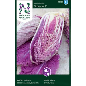 Frø kinakål Scarvita