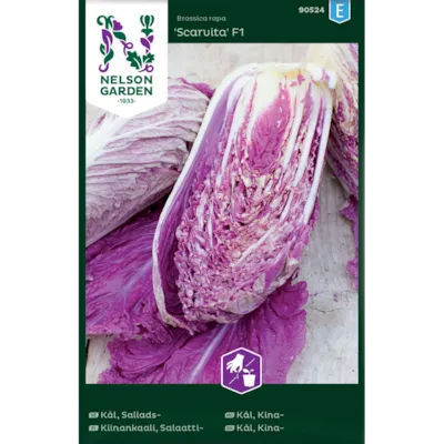 Frø kinakål Scarvita
