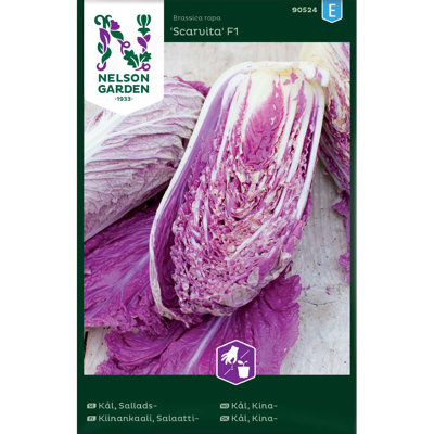 Frø kinakål Scarvita