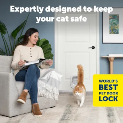 Katteluke Big Cat, bilde 2