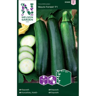 Frø squash Black Forest