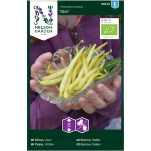 Frø voksbønne Dior økologisk
