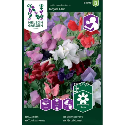 Frø blomsterert Royal Mix