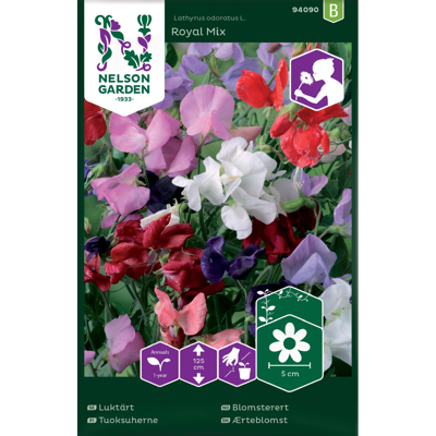 Frø blomsterert Royal Mix